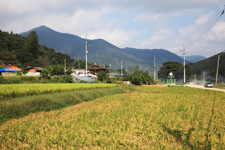 陳梅村