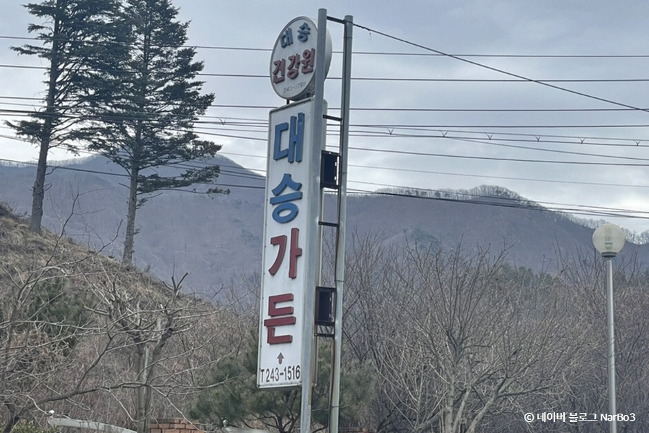 大勝ガーデン