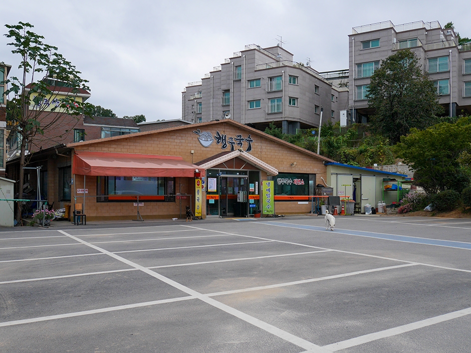 幸州面条