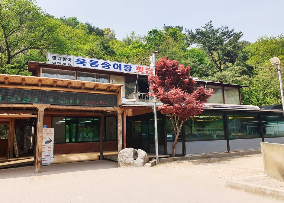 玉洞養殖場刺身店