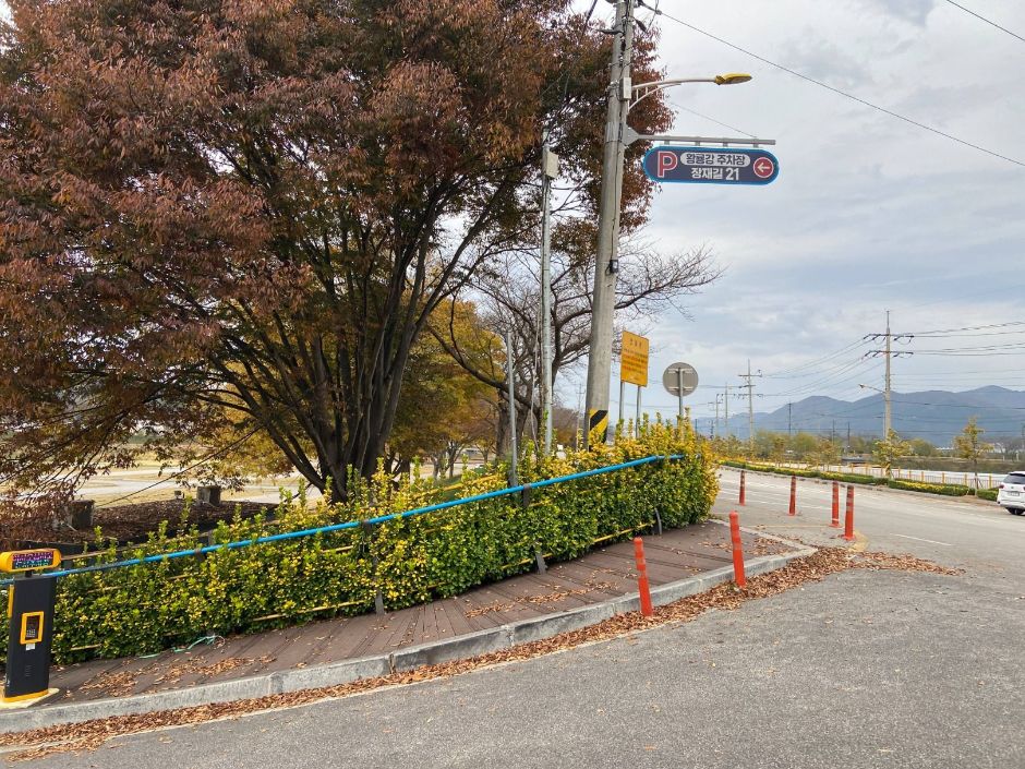 长城公设运动场