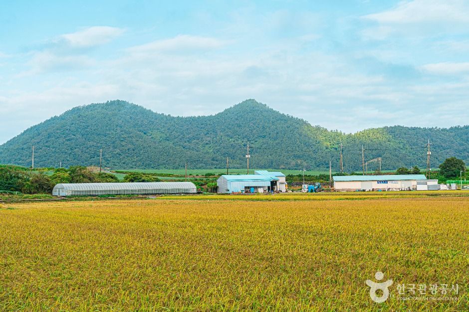 Jindo Sopo Black Rice Village