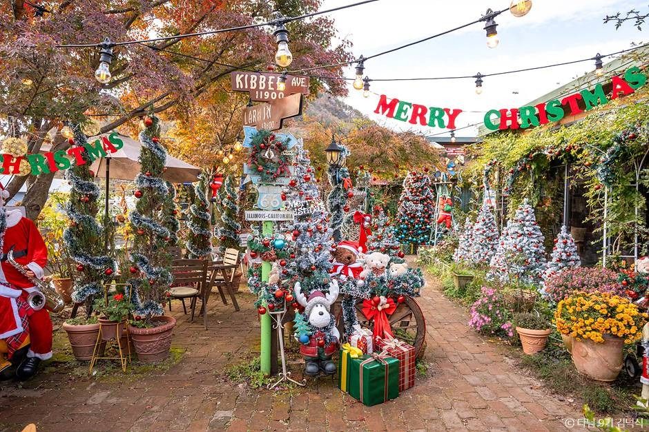 겨울 실내 가볼만한곳 전국 크리스마스 카페_트리인블루_3-4