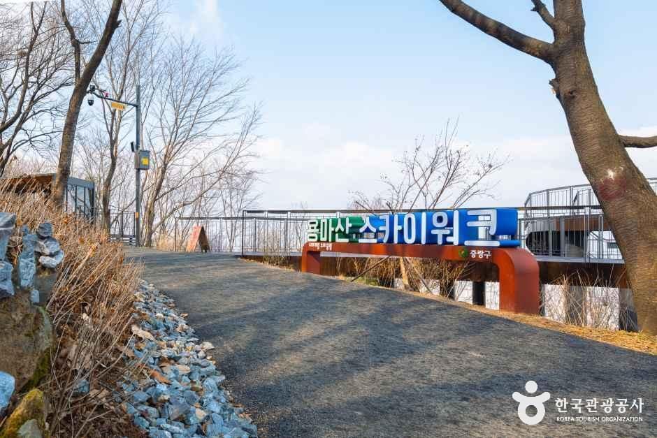 용마산 스카이워크
