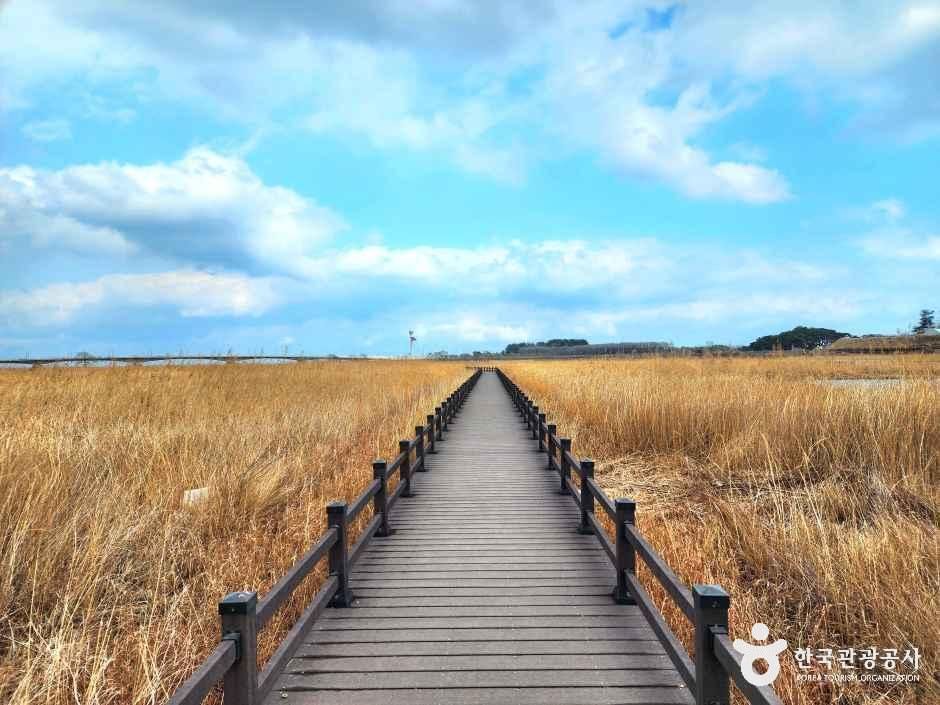 남대천연어생태공원