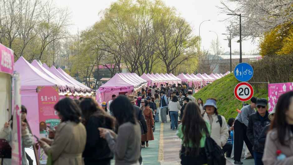 양재천 벚꽃 등(燈) 축제 이미지