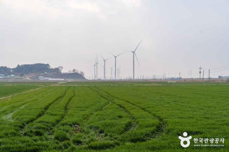 영광풍력발전단지