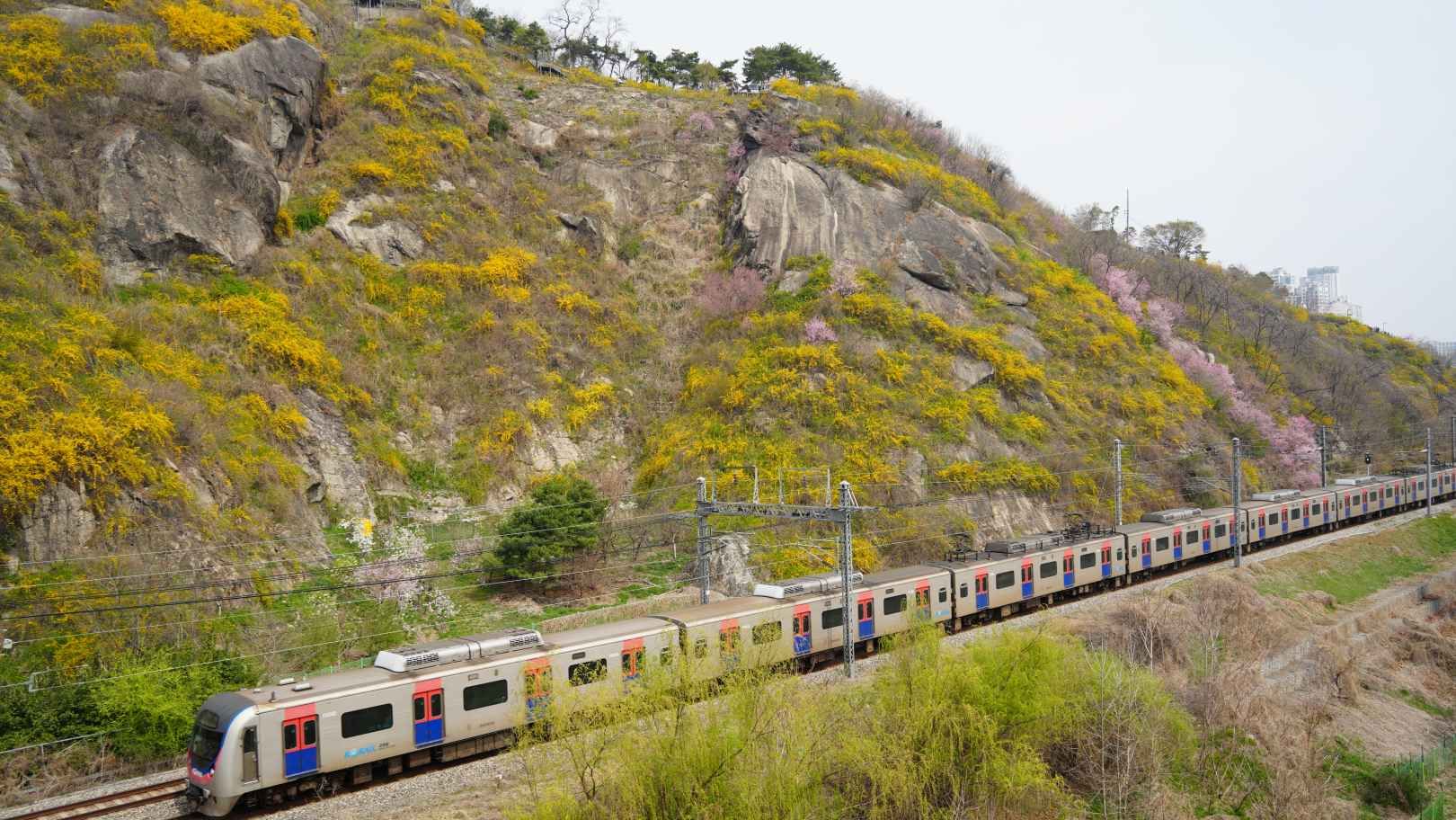 鷹峰山の麓を快走する京義中央線の龍門発文山行き近郊電車(K5046列車)と貨物列車