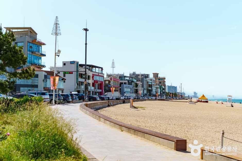안목해변 사진 2