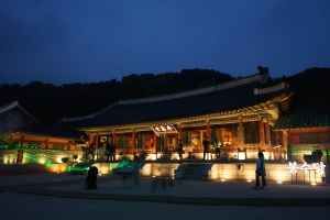 Visita Nocturna al Palacio Hwaseonghaenggung