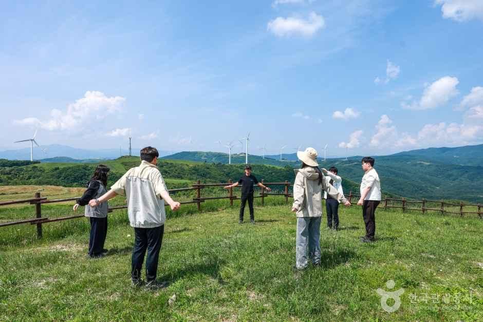 Participants Immersed in Reed Walking