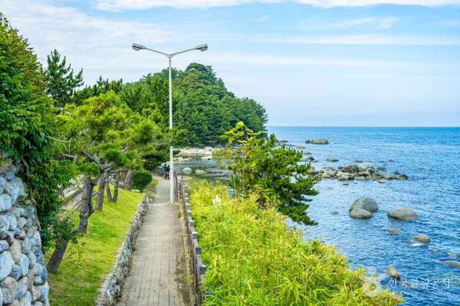 [해파랑길] 49코스