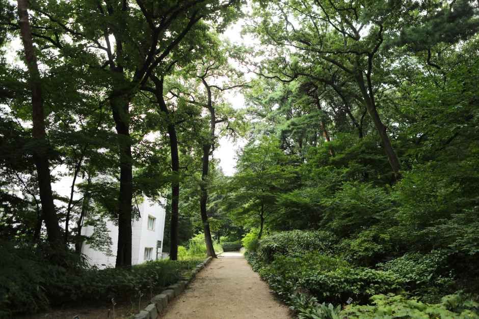 국립산림과학원(홍릉시험림) - 서울특별시 동대문구 회기로 57 (청량리동) 관광 명소