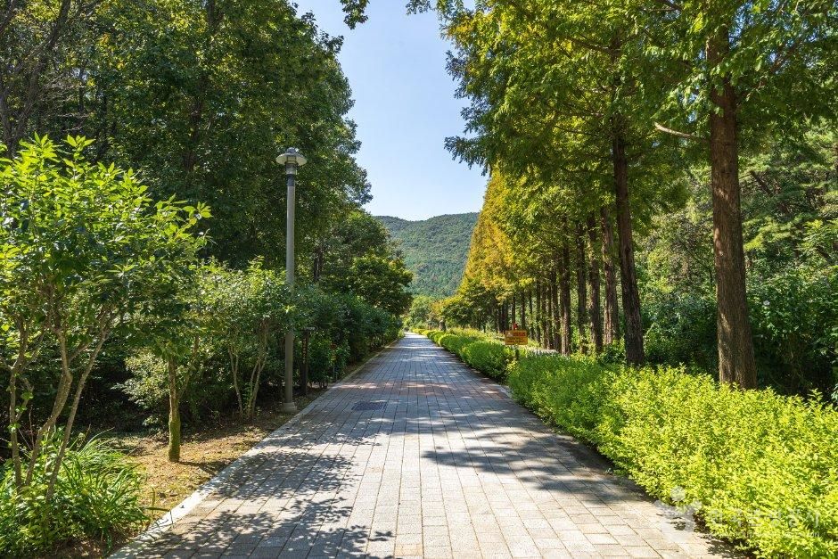 충남_보령_무궁화수목원_외부_4.jpg