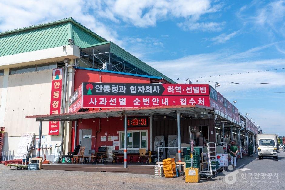 안동청과합자회사 사진 3