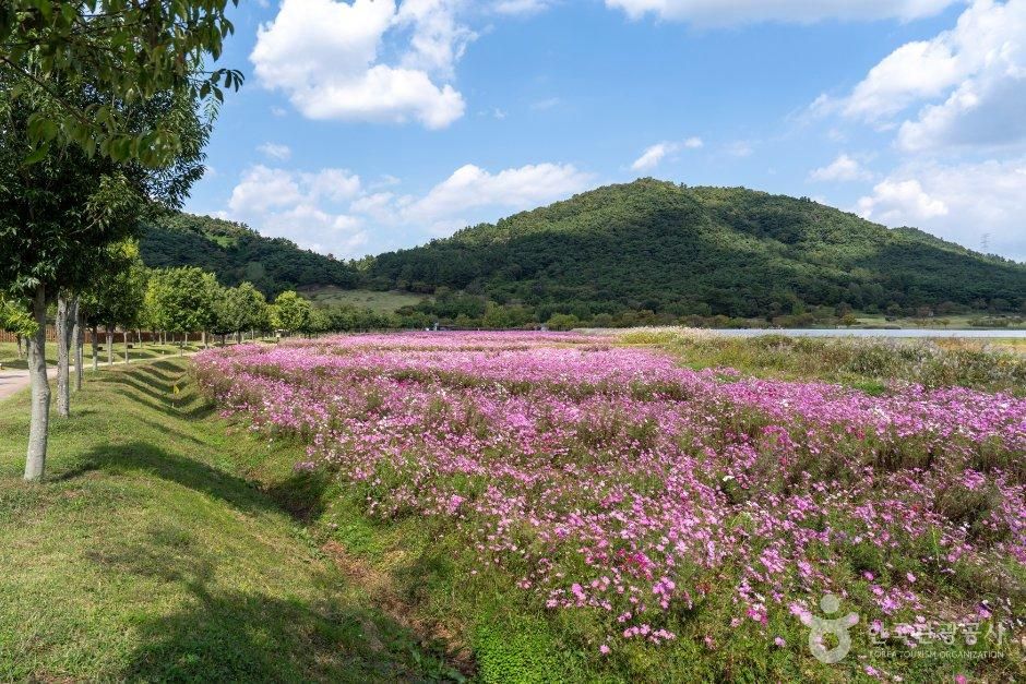 람사르 습지와 고인돌 들녘을 걷는 가족 여행_전북_고창_고창 고인돌 유적 [유네스코 세계유산]_4.jpg