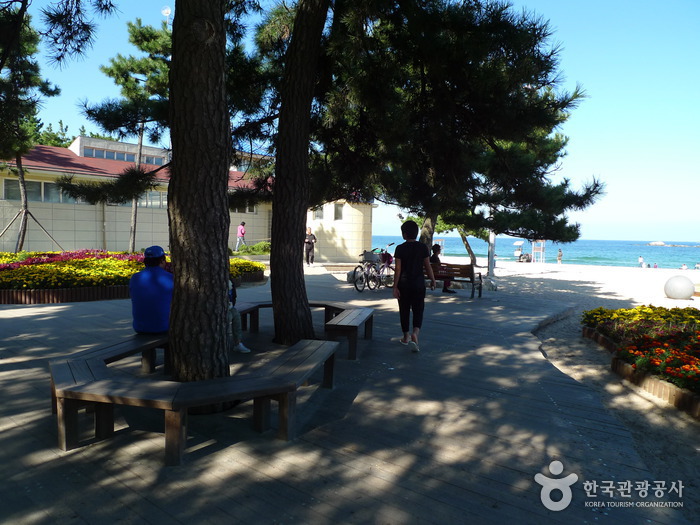 강릉 경포해변 강릉 경포해변