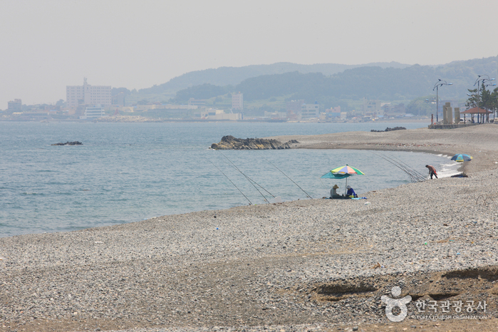신명 정자해변 신명 정자해변