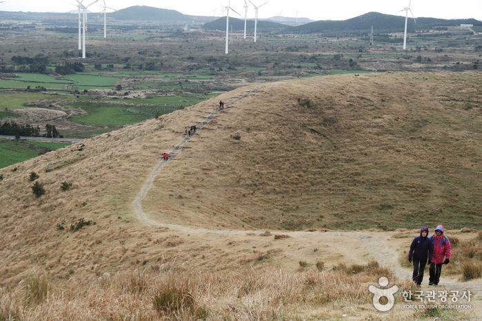 용눈이오름 용눈이오름