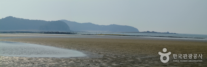 신두리해수욕장 신두리해수욕장