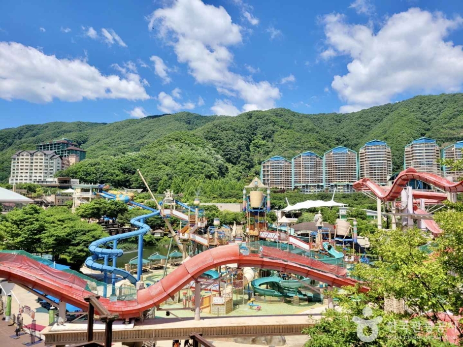 소노벨 비발디파크 오션월드
