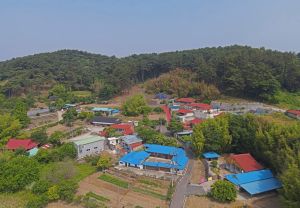 황새마을(서천)