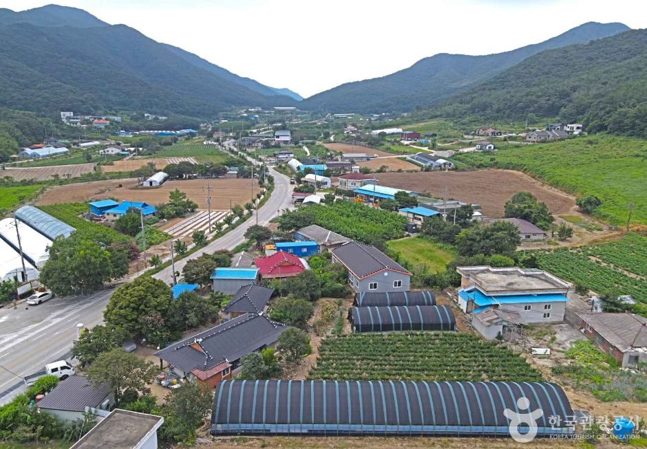 悠悠村
