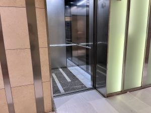 도락 사진 5