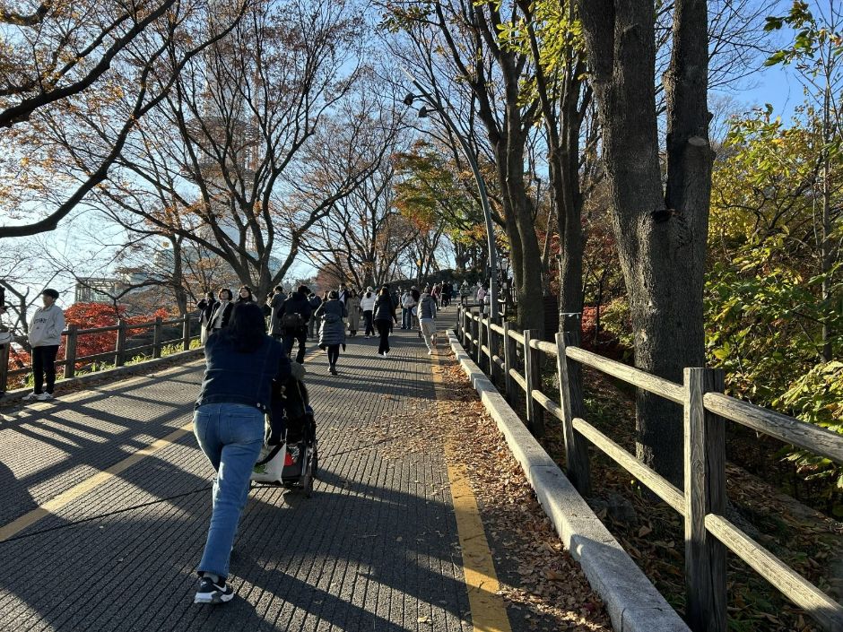 Namsan Circular Walking Trail