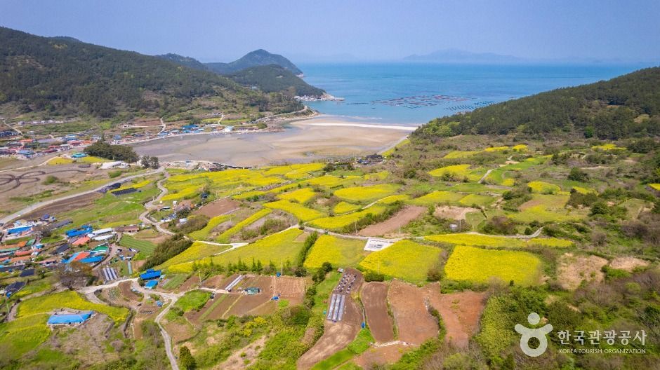 全南莞岛青山[慢城]