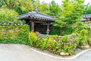 당몰샘 사진 8