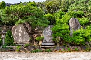 신광사(세종) 사진 3