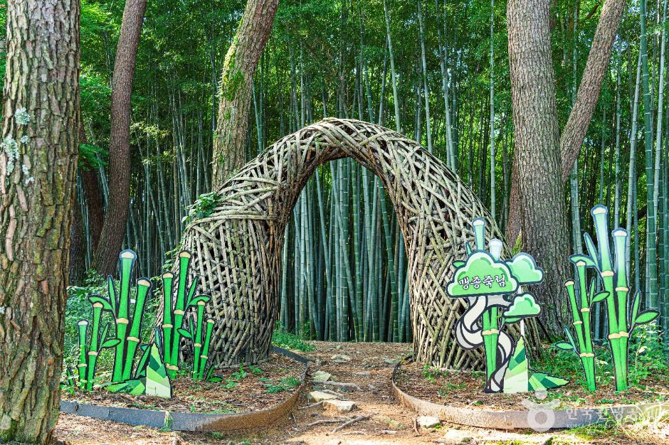 高敞邑城 孟宗竹林