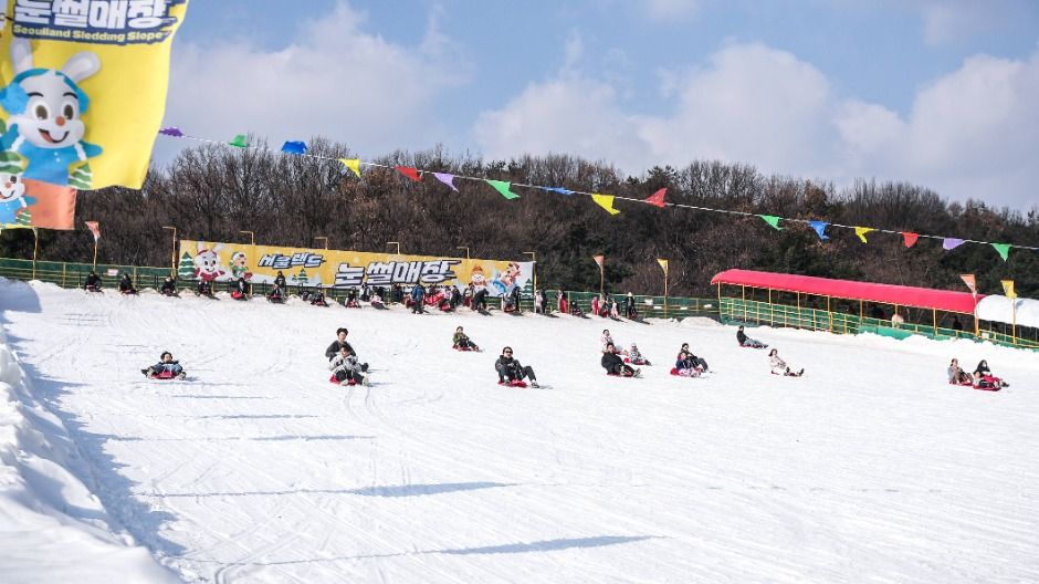 Seoulland Sledding Hills