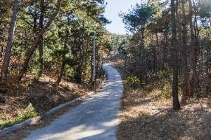포항_곤륜산 활공장 (6) 미리보기