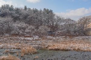 3589260 image3 1 예스키즈존 탐험대 : 실패 없는 육아여행