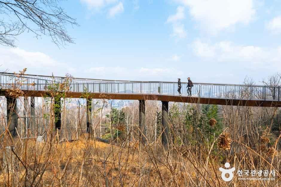 용마산 스카이워크