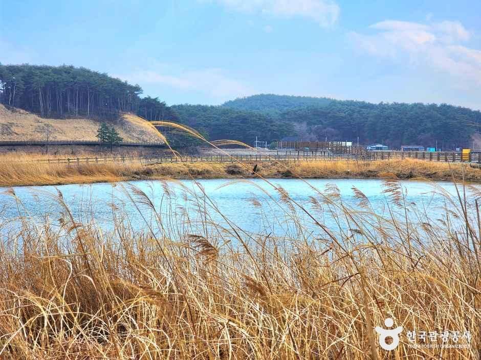 남대천연어생태공원