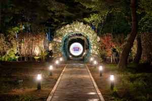 Haslla Gangneung Immersive Art Show (하슬라강릉 이머시브아트쇼)