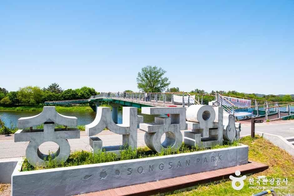 松山遊園地