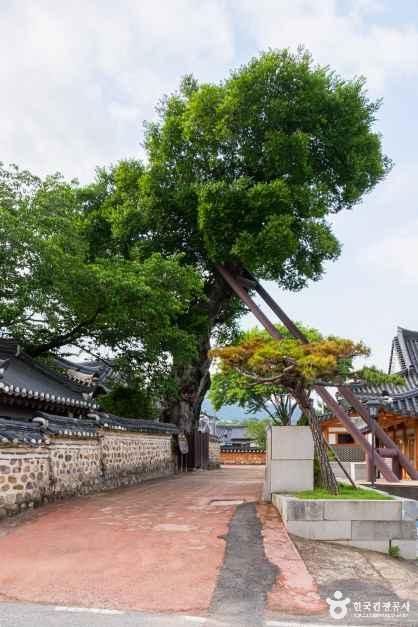 나주 목사내아