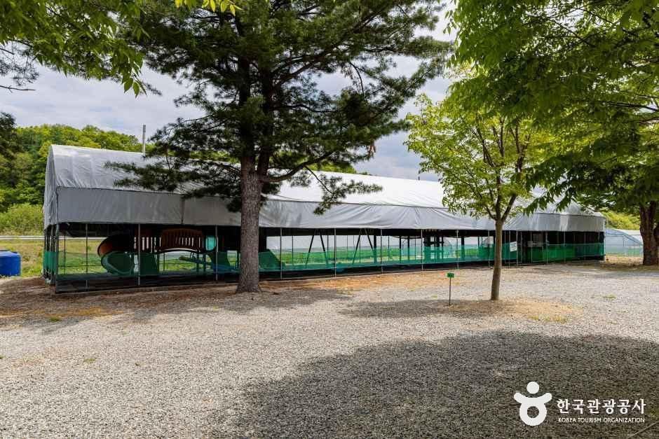 도레미캠핑장