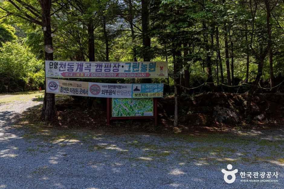 단양천동계곡캠핑장 그린농원