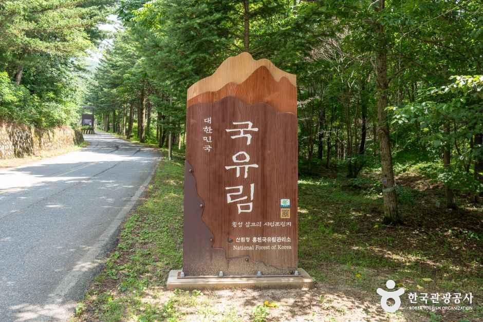 국립 청태산자연휴양림