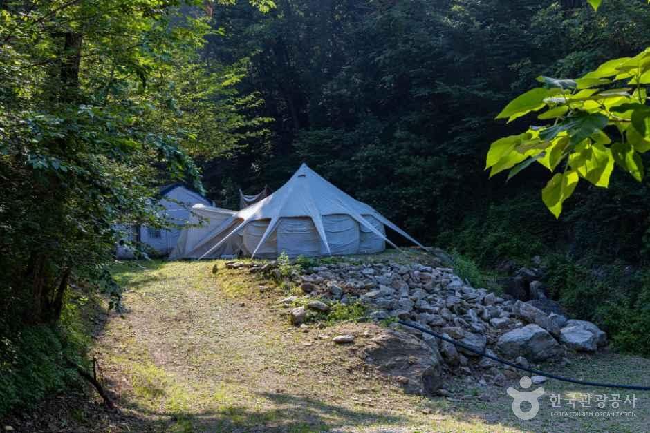 뮤즈캠핑장