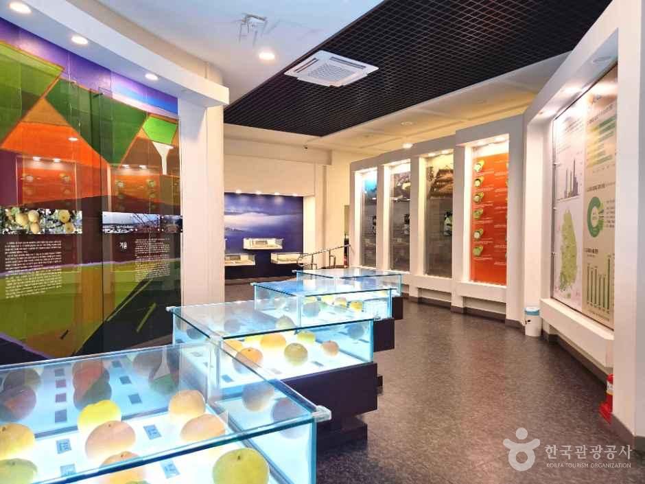 羅州梨博物館（나주배박물관）