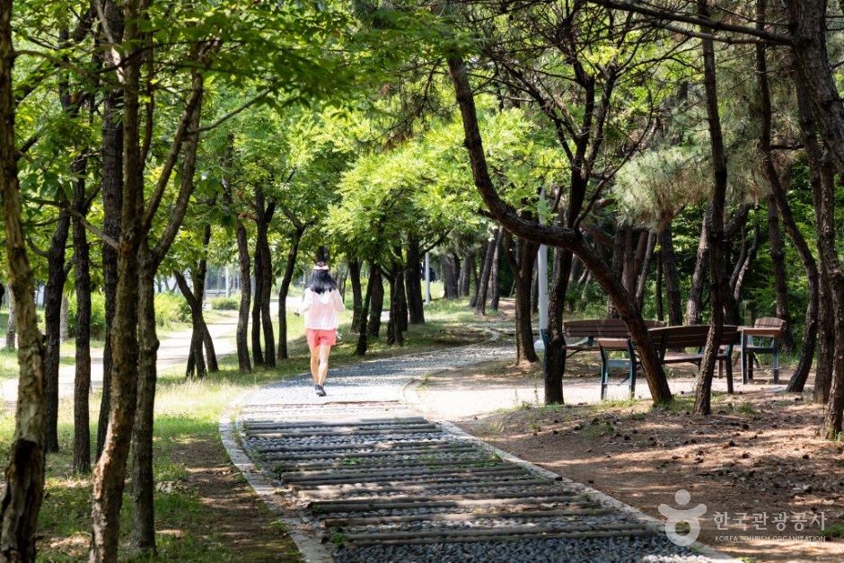 새아침공원