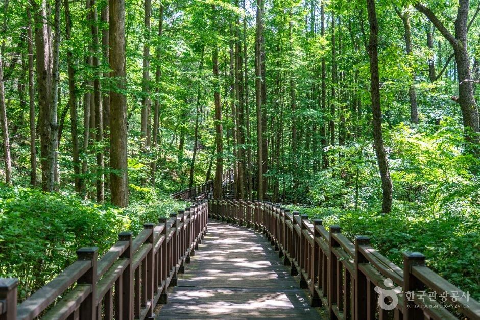경기_수원시_성죽공원 (4).jpg