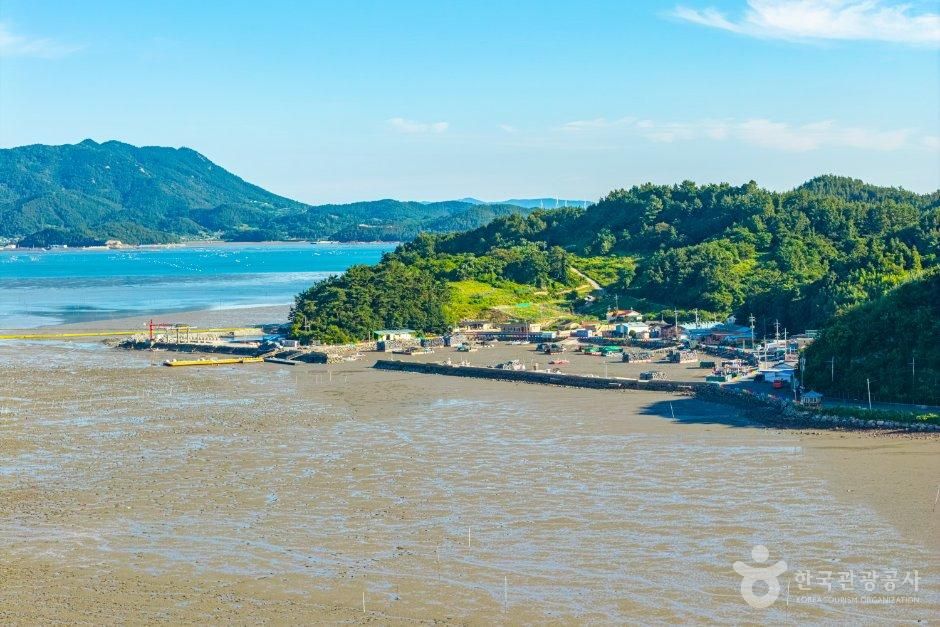 新里渔村体验村