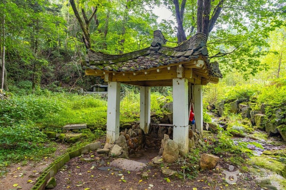 신약수(가리골약수)